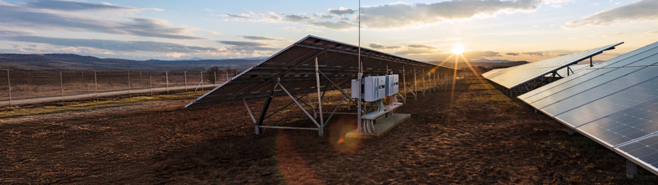 PV modules in field with Tauro inverter